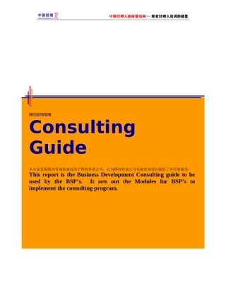 咨询顾问手册中英文