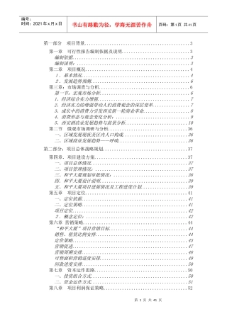 和平大厦可行性研究报告（新稿）
