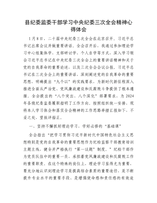县纪委监委干部学习中央纪委三次全会精神心得体会