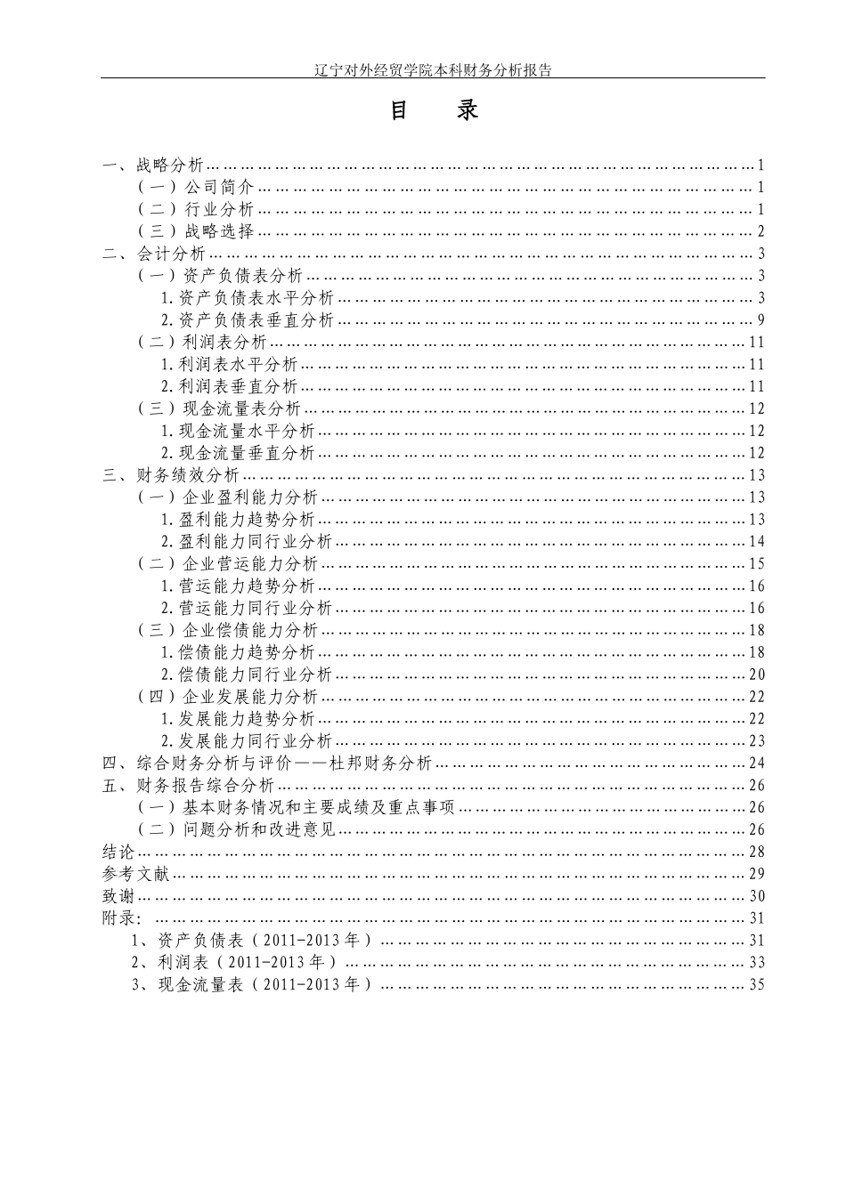 啤酒年度财务分析报告_第2页