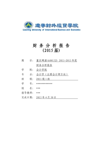 啤酒年度财务分析报告