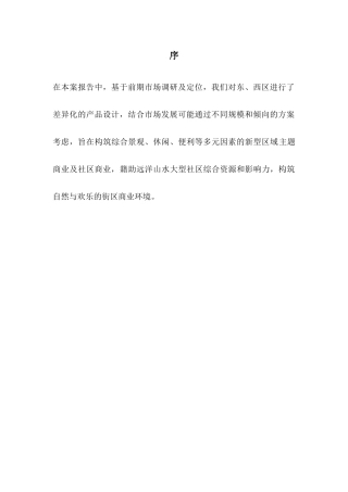 商业项目产品设计报告书