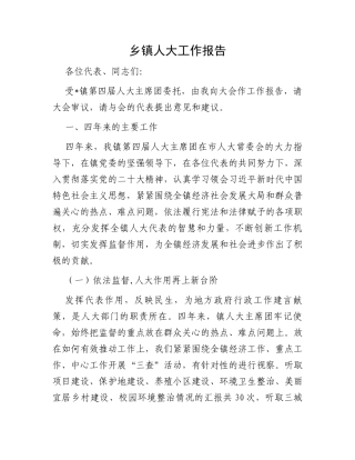 乡镇人大工作报告