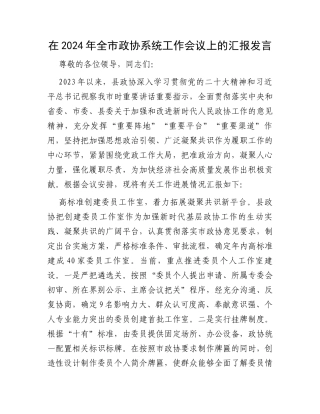 在2024年全市政协系统工作会议上的汇报发言