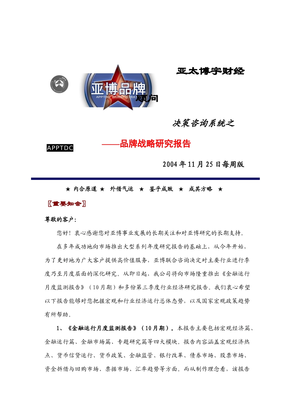 品牌战略咨询报告分析_第1页