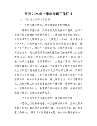 某县2024年上半年党建工作汇报