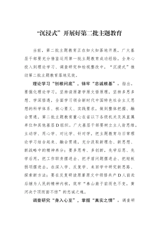 “沉浸式”开展好第二批主题教育