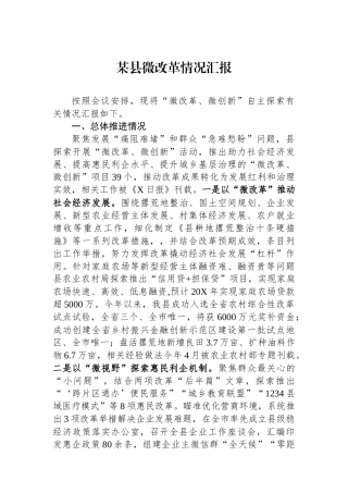 某县微改革情况汇报