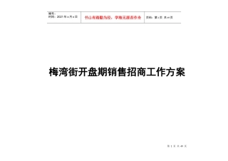 嘉兴梅湾街开盘期销售招商工作方案-43DOC