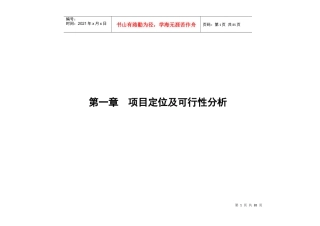 商业项目定位及可行性分析报告