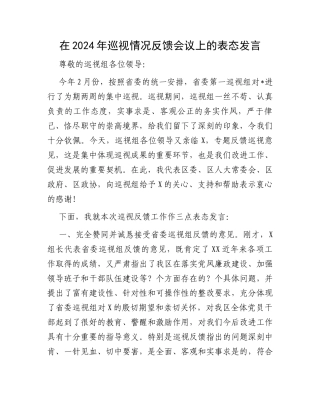 在2024年巡视情况反馈会议上的表态发言