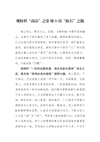 观榜样“高山”之姿 琢党员“原石”之髓