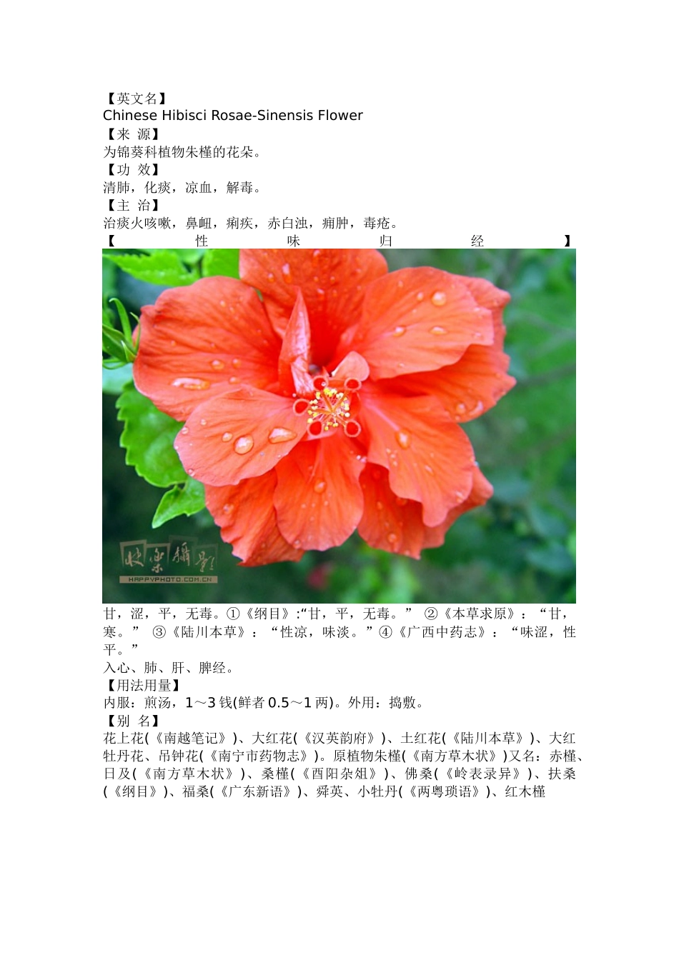 扶桑花的药用与食用_第3页