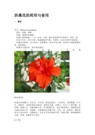 扶桑花的药用与食用