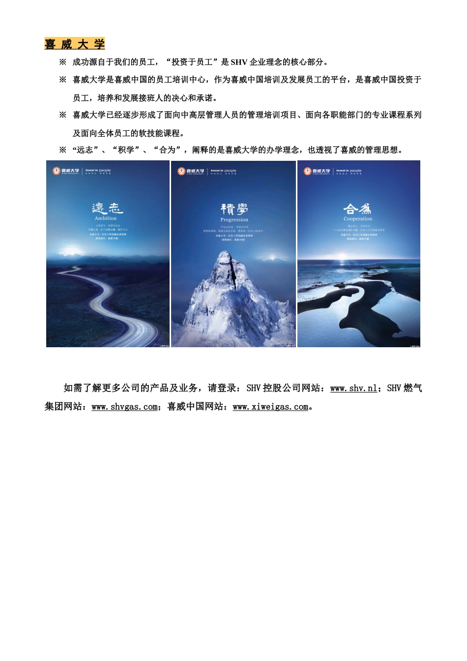 喜威中国-试用期聘用合同_第2页