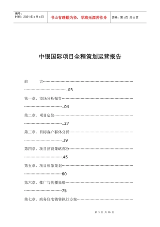 国际某项目全程策划运营报告