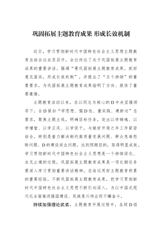 巩固拓展主题教育成果 形成长效机制
