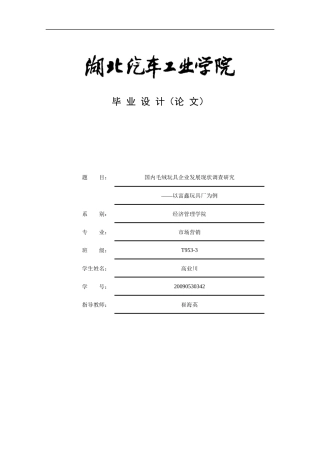 国内毛绒玩具企业发展现状调查研究论文