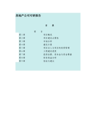 房地产公司可研报告