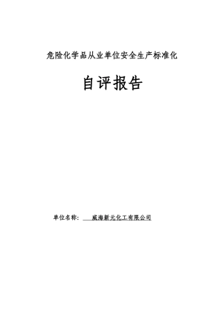 威海新元化工自评报告