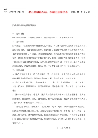 团的基层组织建设指导规范