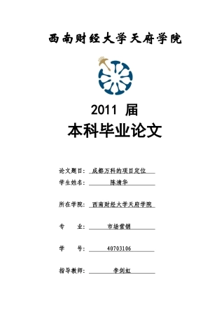 成都某地产的项目定位