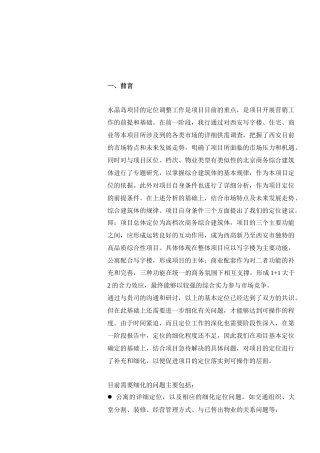 戴德梁行某酒店公寓项目策划（58