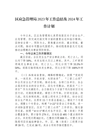 区应急管理局2023年工作总结及2024年工作计划(20240117)