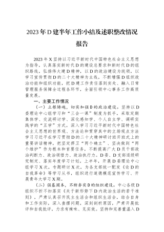 2023年党建半年工作小结及述职整改情况报告