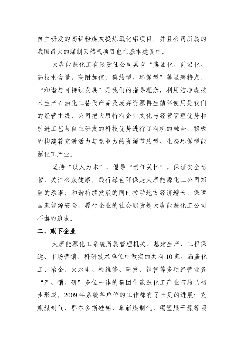 大唐能源化工有限责任公司_第2页