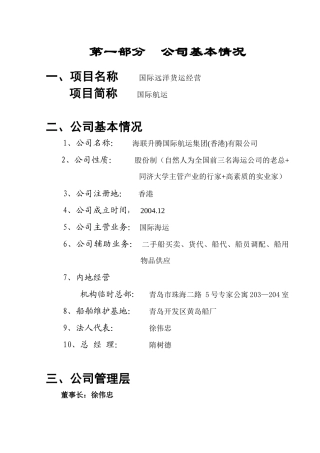 国际远洋货运项目商业计划书