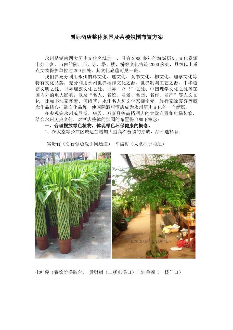 提升国际酒店氛围布置方案_第1页
