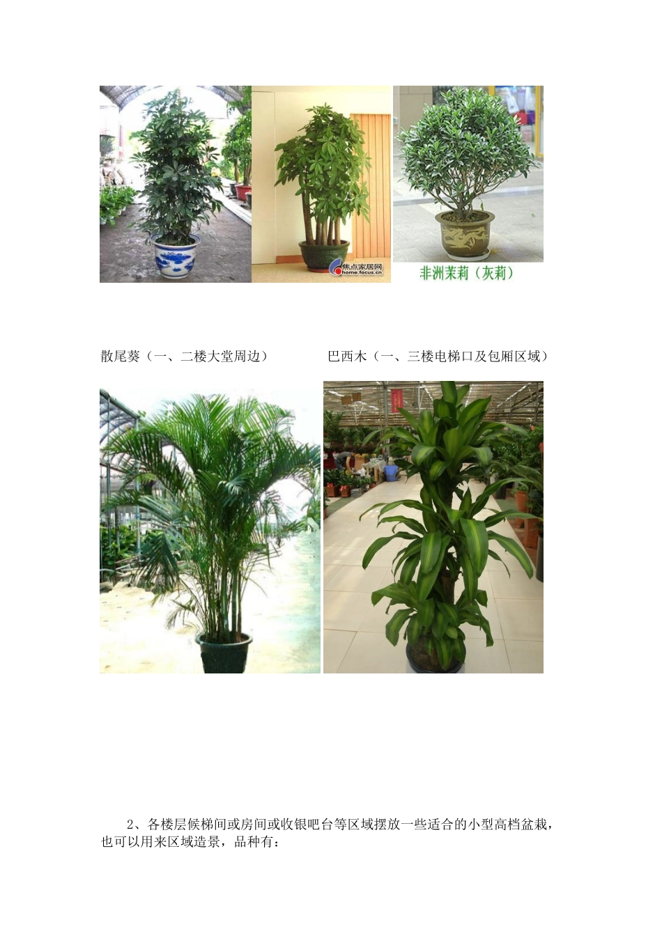 提升国际酒店氛围布置方案_第2页