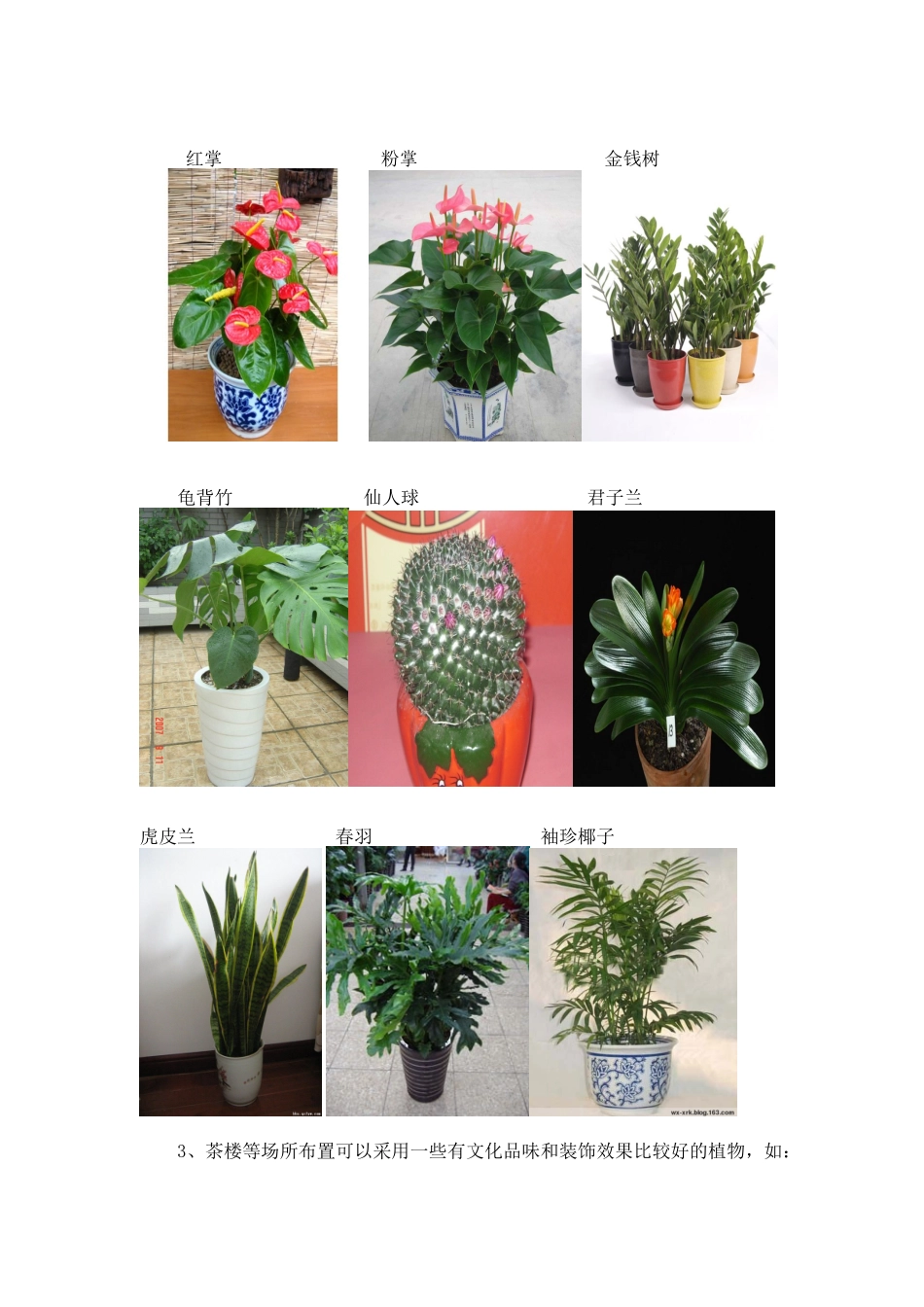 提升国际酒店氛围布置方案_第3页