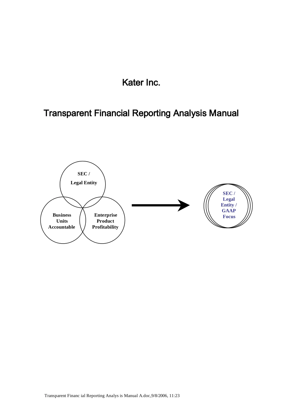 国外某公司财务分析手册全英文版_第1页