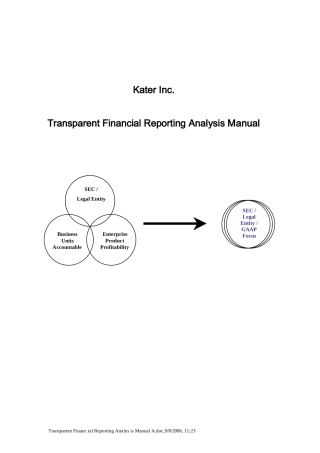 国外某公司财务分析手册全英文版