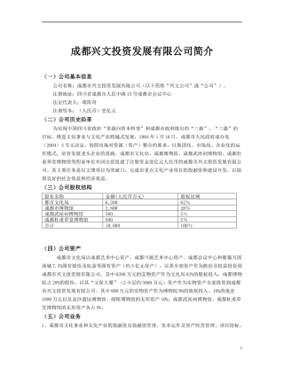 四川金沙项目建议书(1)