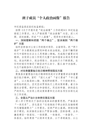 班子成员“个人政治画像”报告