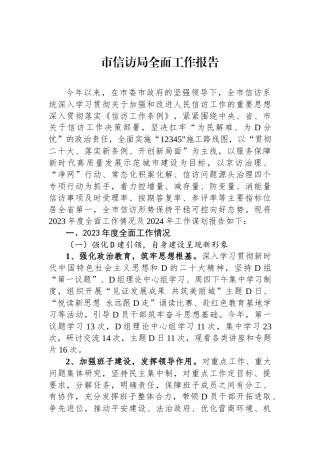 市信访局全面工作报告