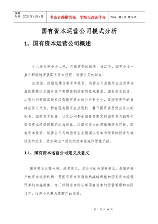 国有资本运营公司模式分析
