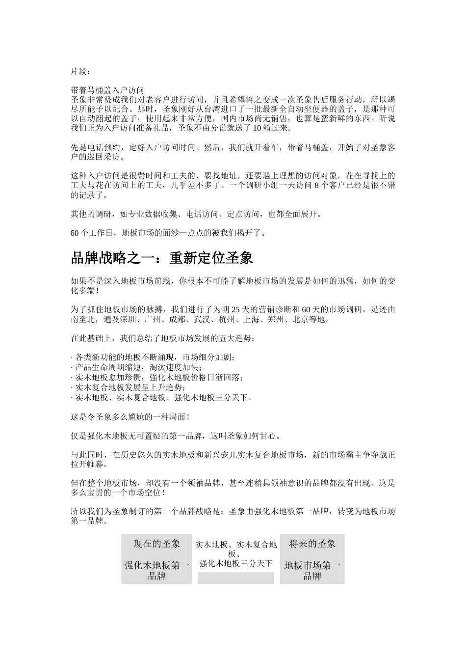 圣象品牌战略分析让生命与生命更近些_第3页
