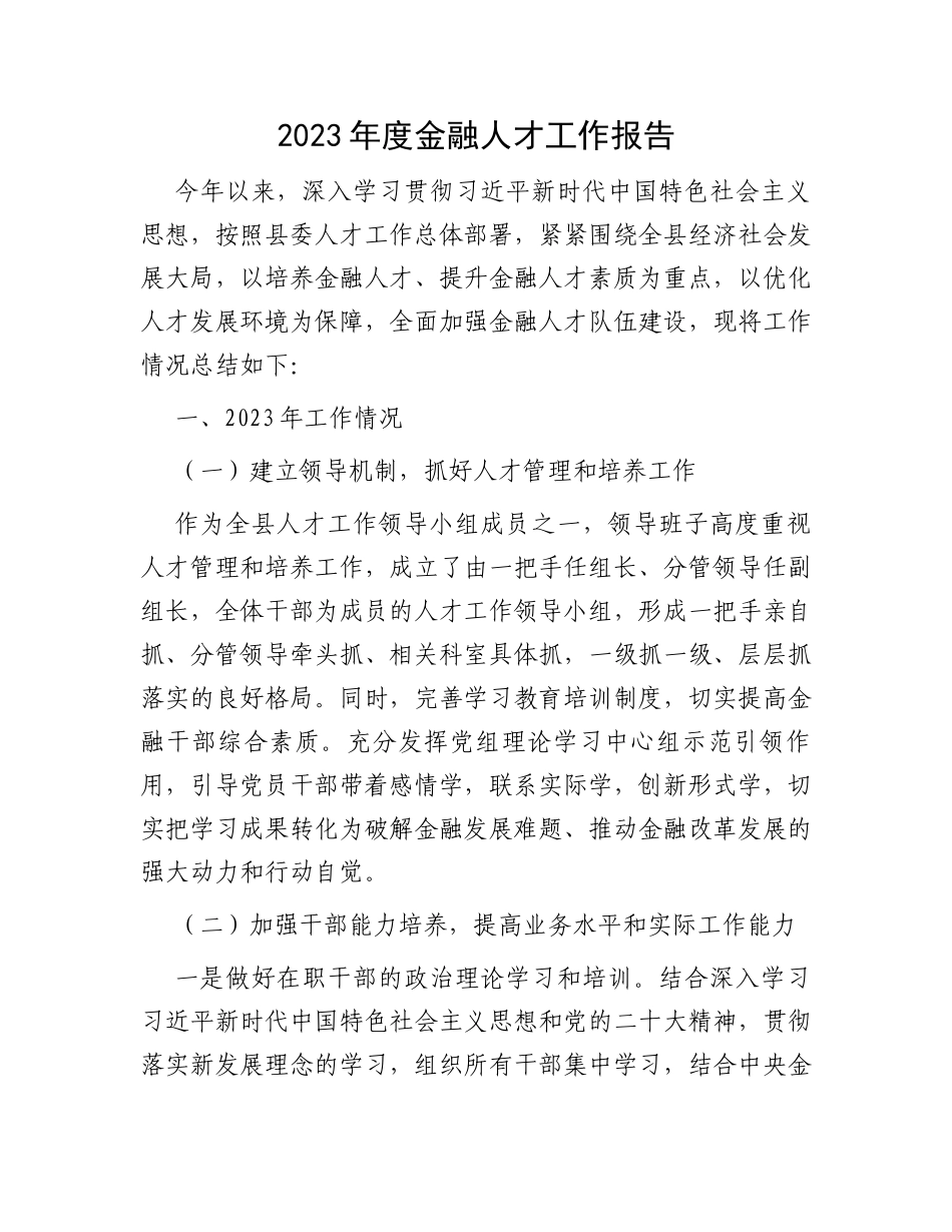 2023年度金融人才工作报告_第1页