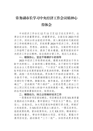 常务副市长学习中央经济工作会议精神心得体会