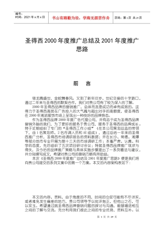 圣得西某某年度推广总结及某某年度推广思路