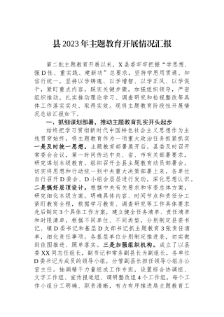 县2023年主题教育开展情况汇报