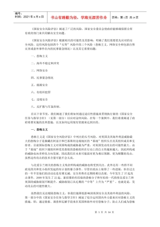 国家安全风险评估