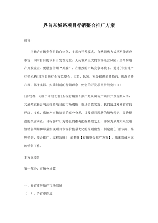 房地产界首东城路项目行销整合推广方案