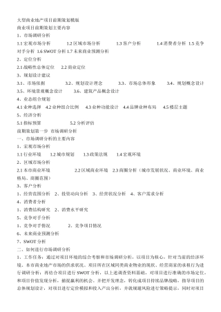 大型商业地产项目前期策划模版