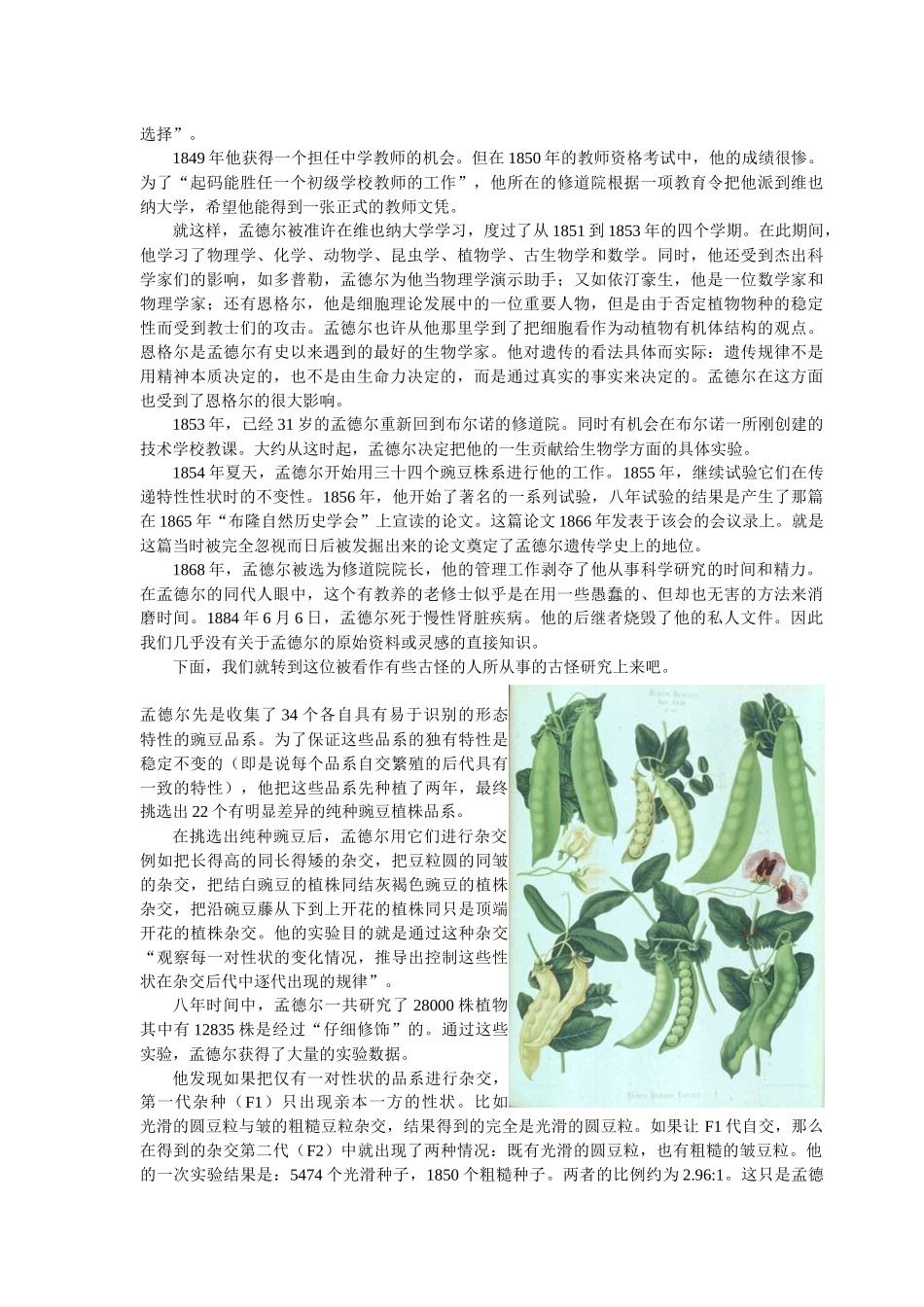 基因的显性与隐性(生物教案)_第2页