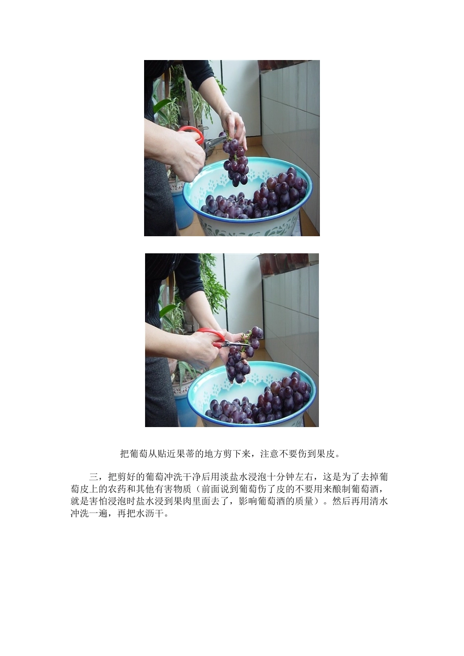 教你家酿红葡萄酒_第2页